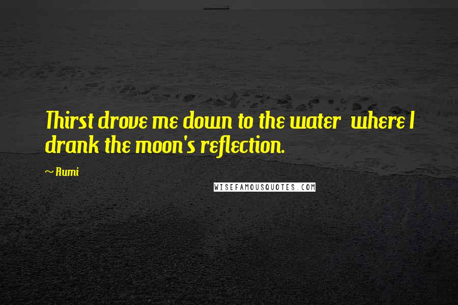 Rumi Quotes: Thirst drove me down to the water  where I drank the moon's reflection.