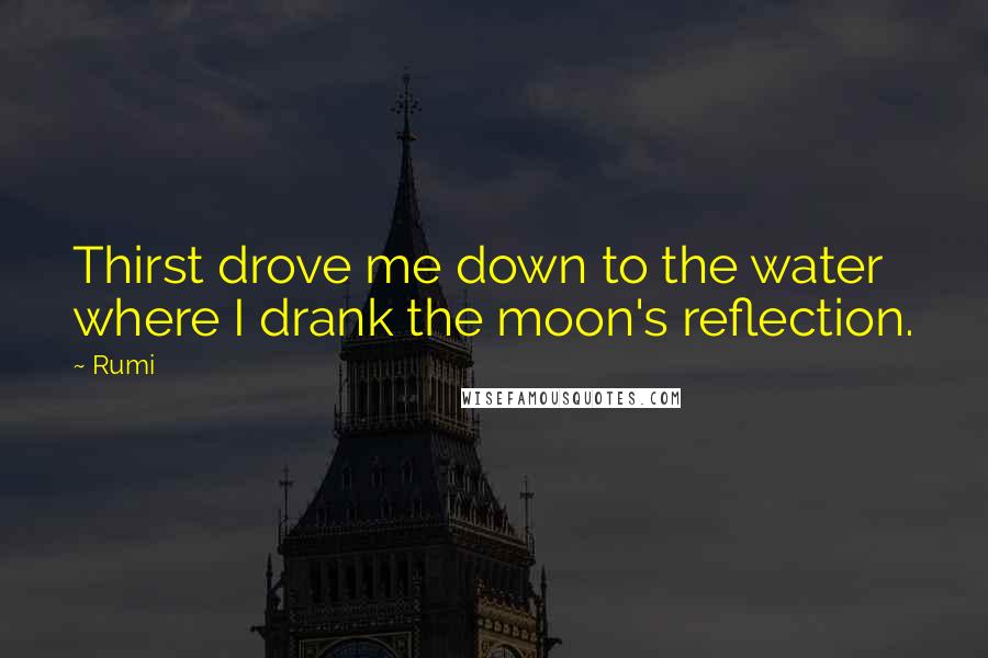 Rumi Quotes: Thirst drove me down to the water  where I drank the moon's reflection.