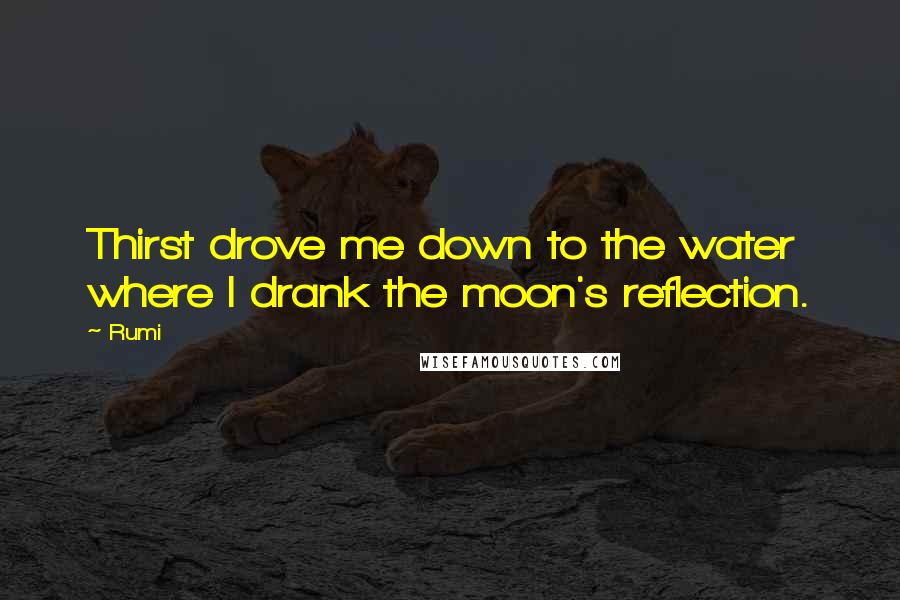Rumi Quotes: Thirst drove me down to the water  where I drank the moon's reflection.