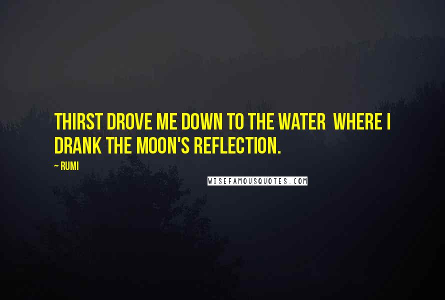 Rumi Quotes: Thirst drove me down to the water  where I drank the moon's reflection.