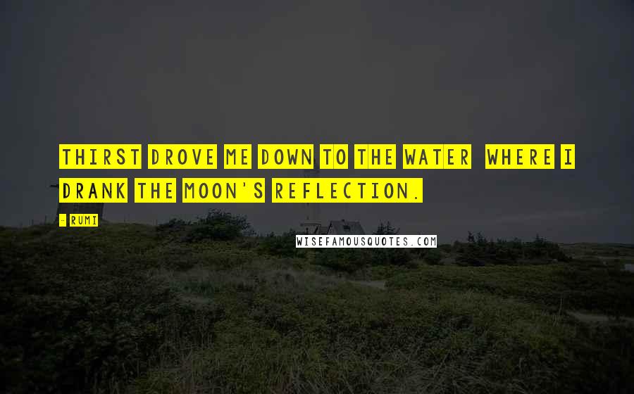 Rumi Quotes: Thirst drove me down to the water  where I drank the moon's reflection.