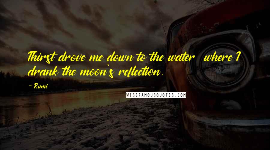 Rumi Quotes: Thirst drove me down to the water  where I drank the moon's reflection.