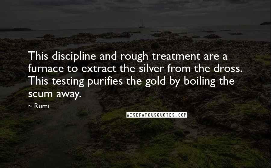 Rumi Quotes: This discipline and rough treatment are a furnace to extract the silver from the dross. This testing purifies the gold by boiling the scum away.