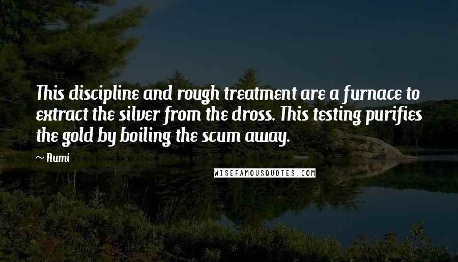 Rumi Quotes: This discipline and rough treatment are a furnace to extract the silver from the dross. This testing purifies the gold by boiling the scum away.