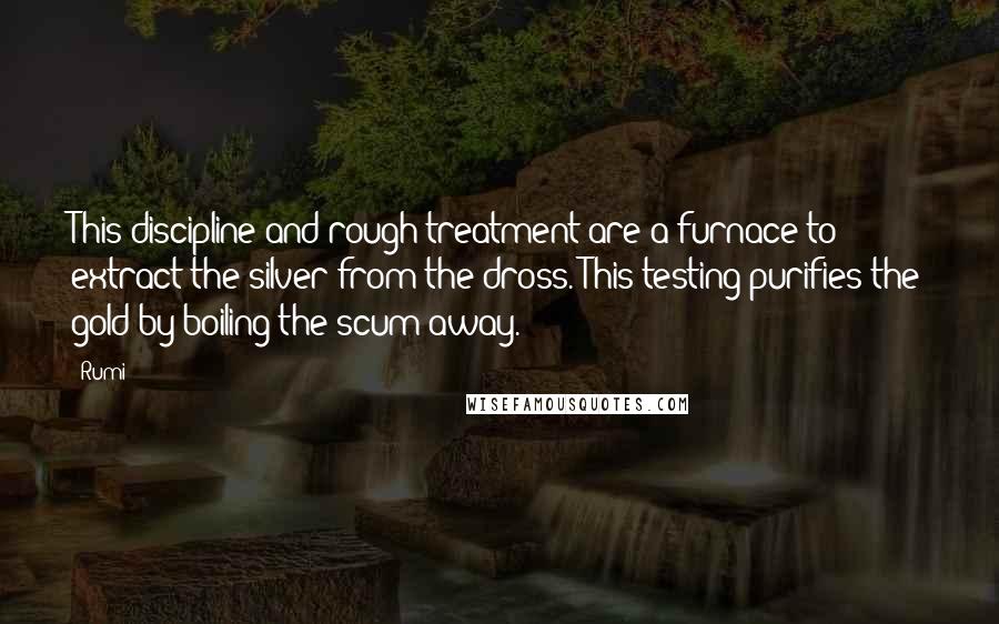 Rumi Quotes: This discipline and rough treatment are a furnace to extract the silver from the dross. This testing purifies the gold by boiling the scum away.