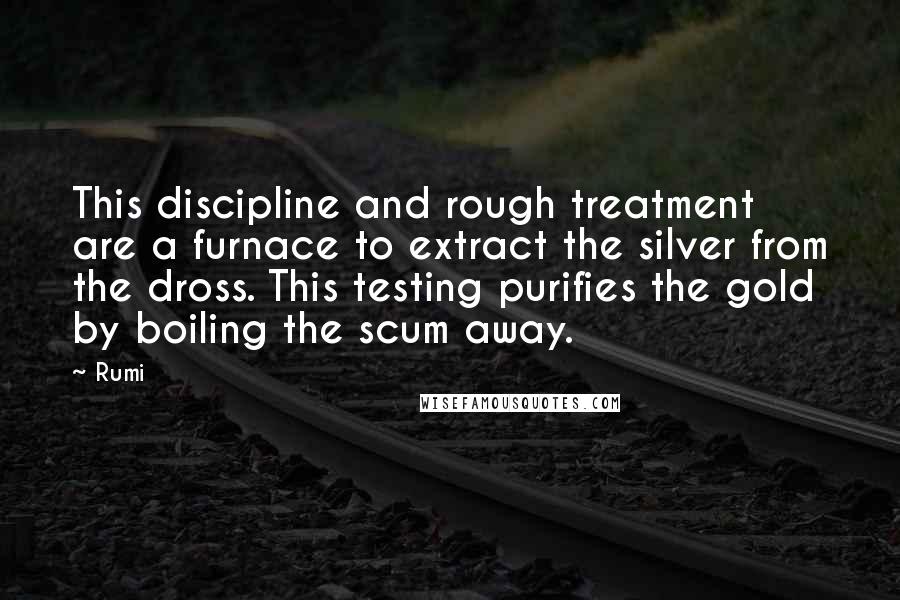 Rumi Quotes: This discipline and rough treatment are a furnace to extract the silver from the dross. This testing purifies the gold by boiling the scum away.