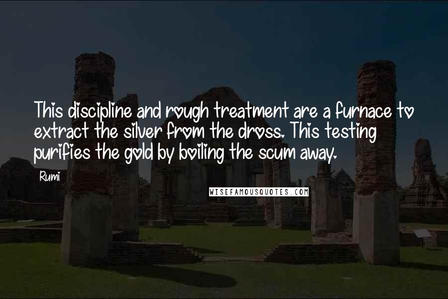 Rumi Quotes: This discipline and rough treatment are a furnace to extract the silver from the dross. This testing purifies the gold by boiling the scum away.