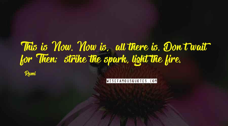 Rumi Quotes: This is Now. Now is, all there is. Don't wait for Then; strike the spark, light the fire.