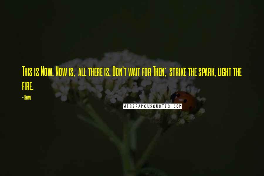 Rumi Quotes: This is Now. Now is, all there is. Don't wait for Then; strike the spark, light the fire.