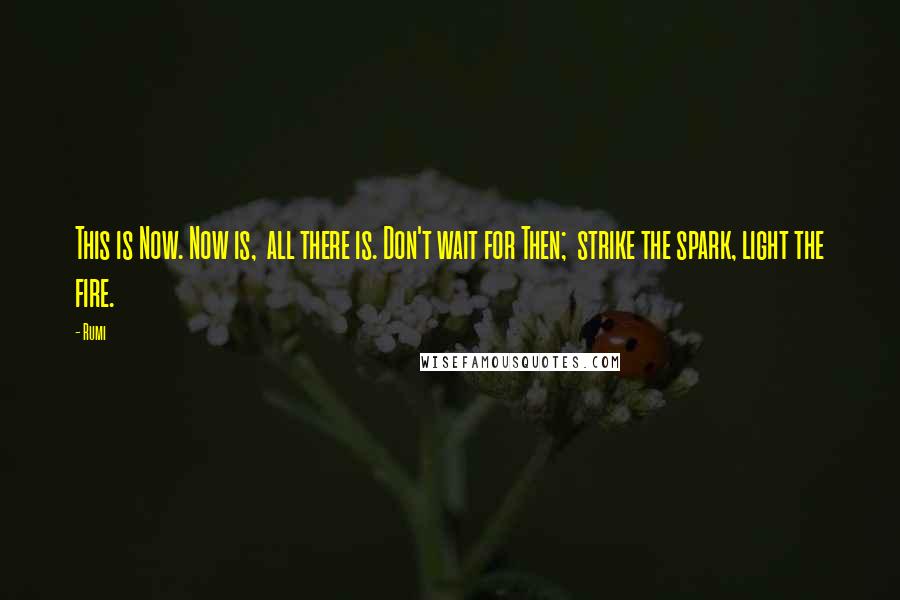 Rumi Quotes: This is Now. Now is,  all there is. Don't wait for Then;  strike the spark, light the fire.