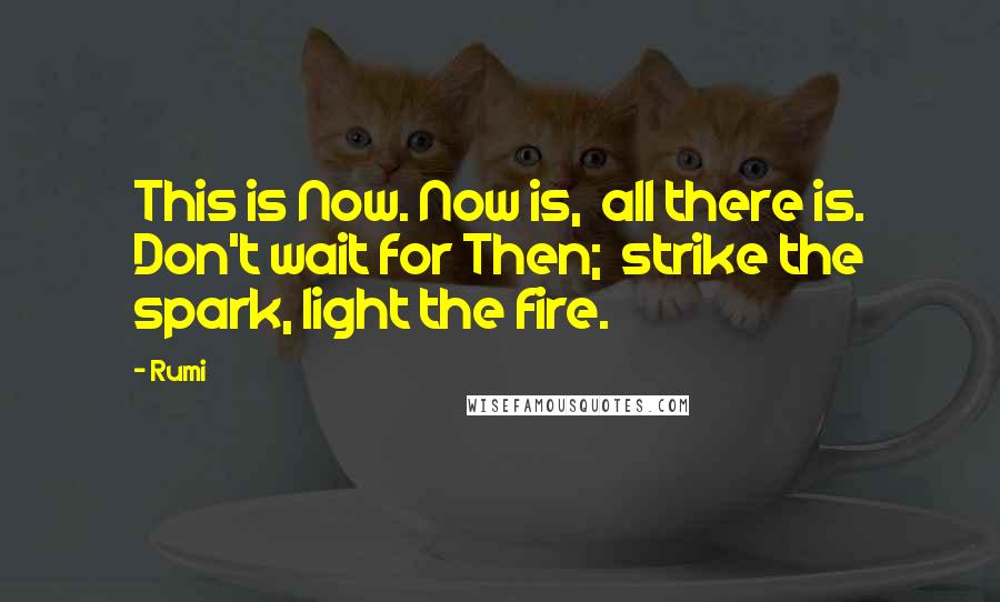 Rumi Quotes: This is Now. Now is, all there is. Don't wait for Then; strike the spark, light the fire.
