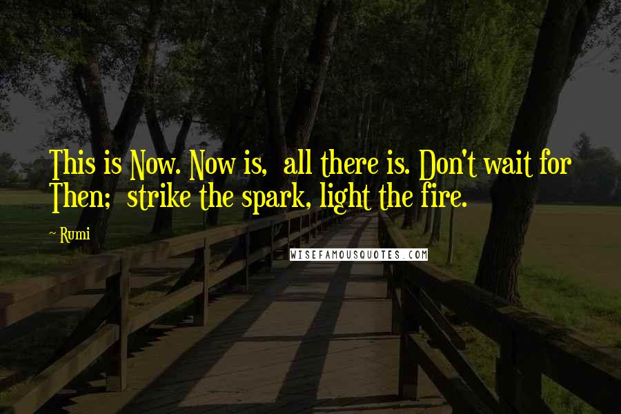 Rumi Quotes: This is Now. Now is,  all there is. Don't wait for Then;  strike the spark, light the fire.