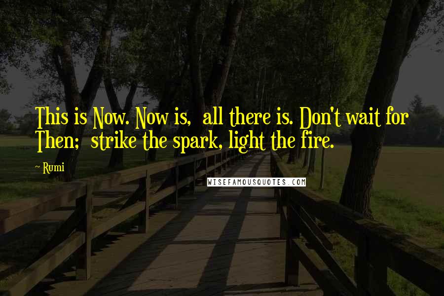Rumi Quotes: This is Now. Now is, all there is. Don't wait for Then; strike the spark, light the fire.