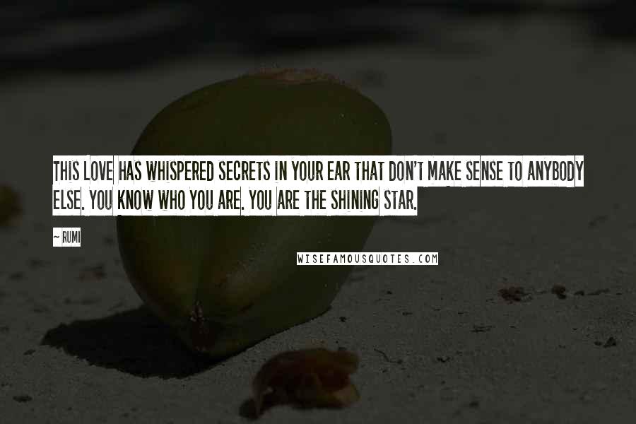 Rumi Quotes: This Love has whispered secrets in your ear that don't make sense to anybody else. You know who You are. You are the shining star.