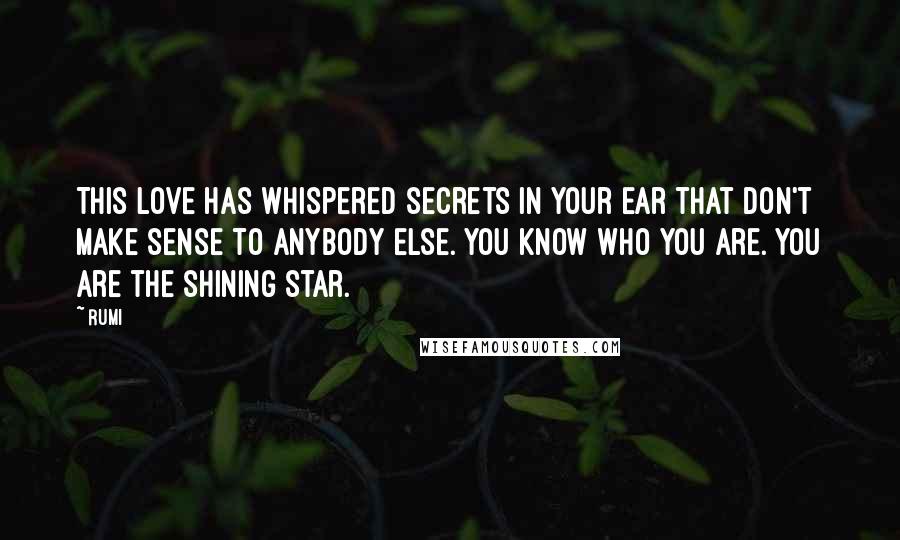 Rumi Quotes: This Love has whispered secrets in your ear that don't make sense to anybody else. You know who You are. You are the shining star.