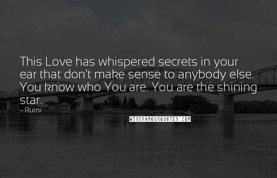 Rumi Quotes: This Love has whispered secrets in your ear that don't make sense to anybody else. You know who You are. You are the shining star.