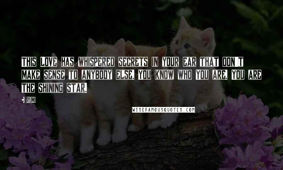 Rumi Quotes: This Love has whispered secrets in your ear that don't make sense to anybody else. You know who You are. You are the shining star.