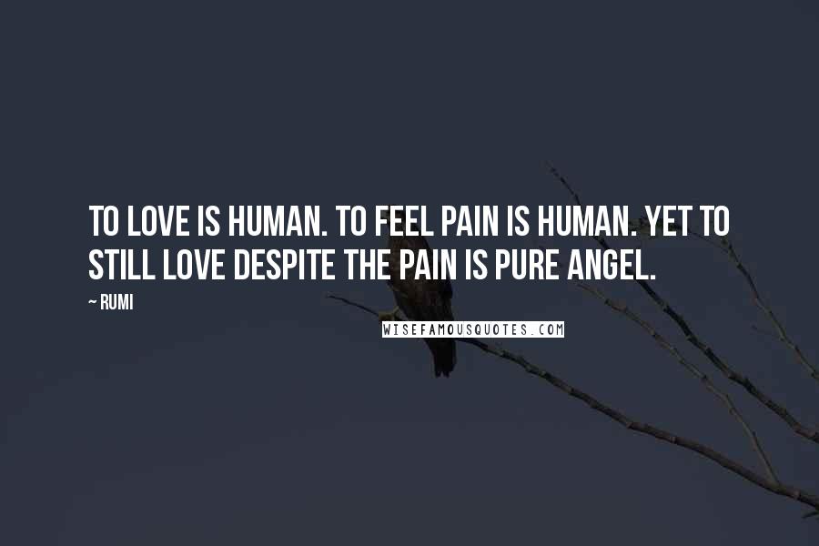 Rumi Quotes: To love is human. To feel pain is human. Yet to still love despite the pain is pure angel.