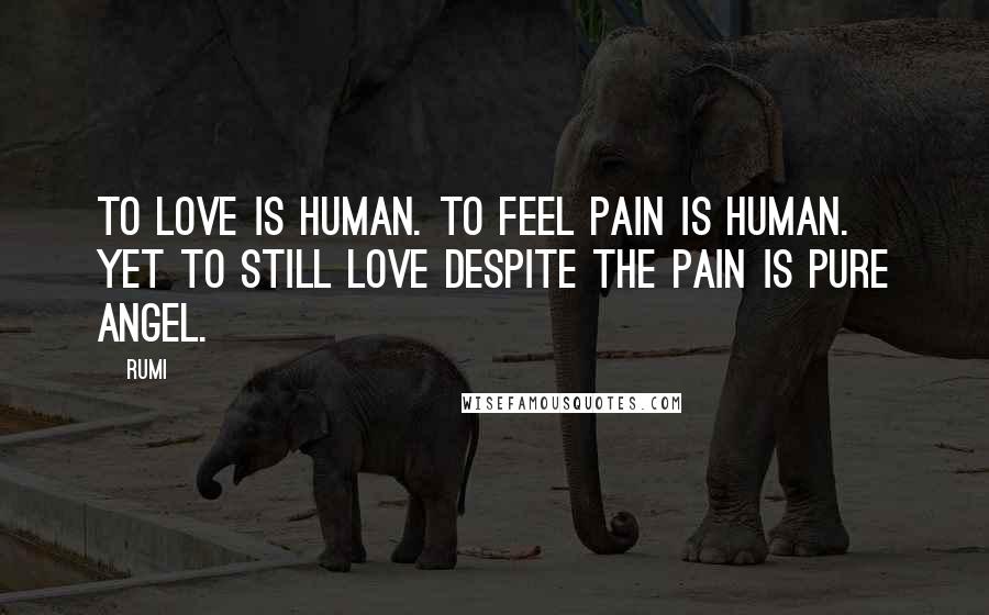 Rumi Quotes: To love is human. To feel pain is human. Yet to still love despite the pain is pure angel.