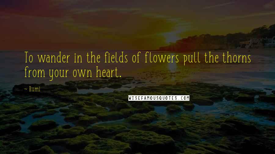 Rumi Quotes: To wander in the fields of flowers pull the thorns from your own heart.