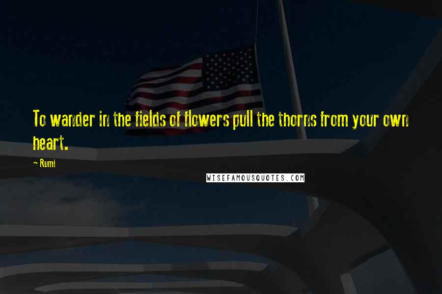Rumi Quotes: To wander in the fields of flowers pull the thorns from your own heart.