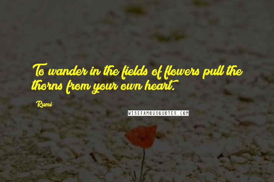 Rumi Quotes: To wander in the fields of flowers pull the thorns from your own heart.
