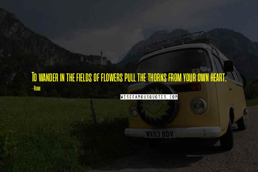 Rumi Quotes: To wander in the fields of flowers pull the thorns from your own heart.
