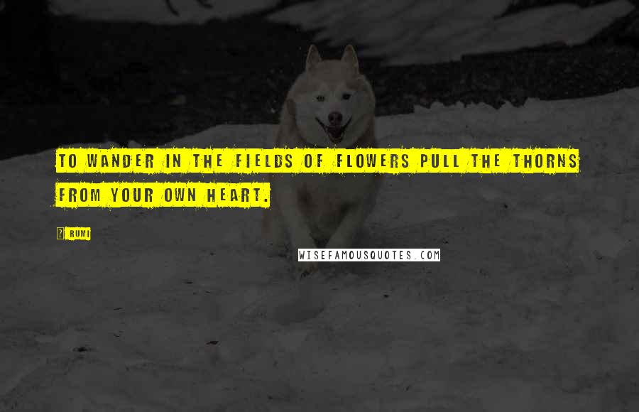 Rumi Quotes: To wander in the fields of flowers pull the thorns from your own heart.