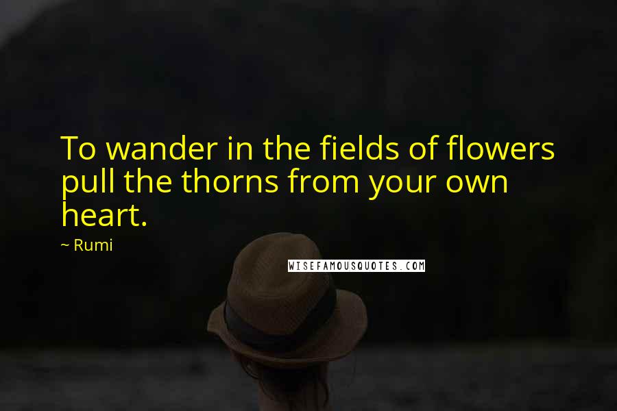 Rumi Quotes: To wander in the fields of flowers pull the thorns from your own heart.