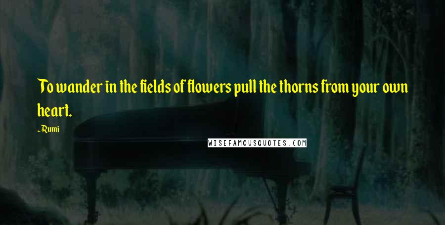 Rumi Quotes: To wander in the fields of flowers pull the thorns from your own heart.
