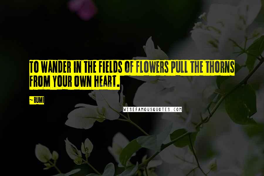 Rumi Quotes: To wander in the fields of flowers pull the thorns from your own heart.