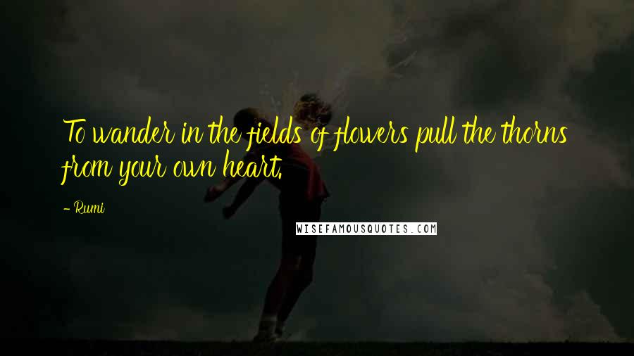 Rumi Quotes: To wander in the fields of flowers pull the thorns from your own heart.