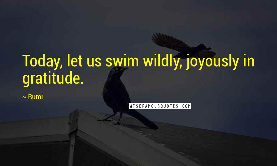 Rumi Quotes: Today, let us swim wildly, joyously in gratitude.