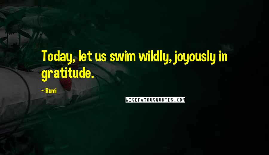 Rumi Quotes: Today, let us swim wildly, joyously in gratitude.
