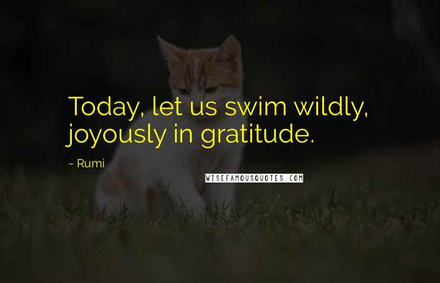Rumi Quotes: Today, let us swim wildly, joyously in gratitude.