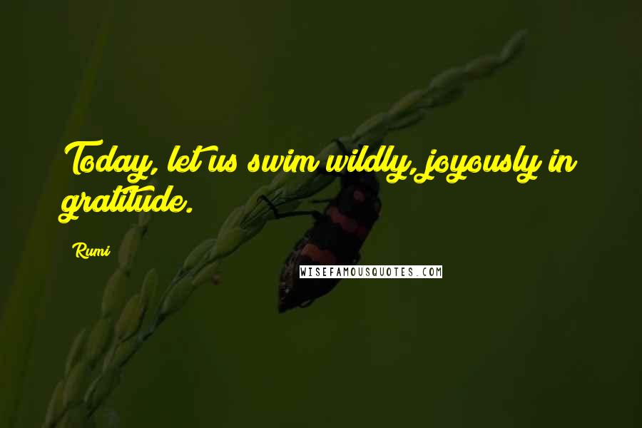 Rumi Quotes: Today, let us swim wildly, joyously in gratitude.