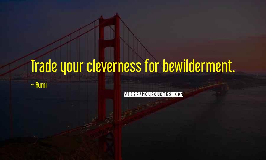 Rumi Quotes: Trade your cleverness for bewilderment.