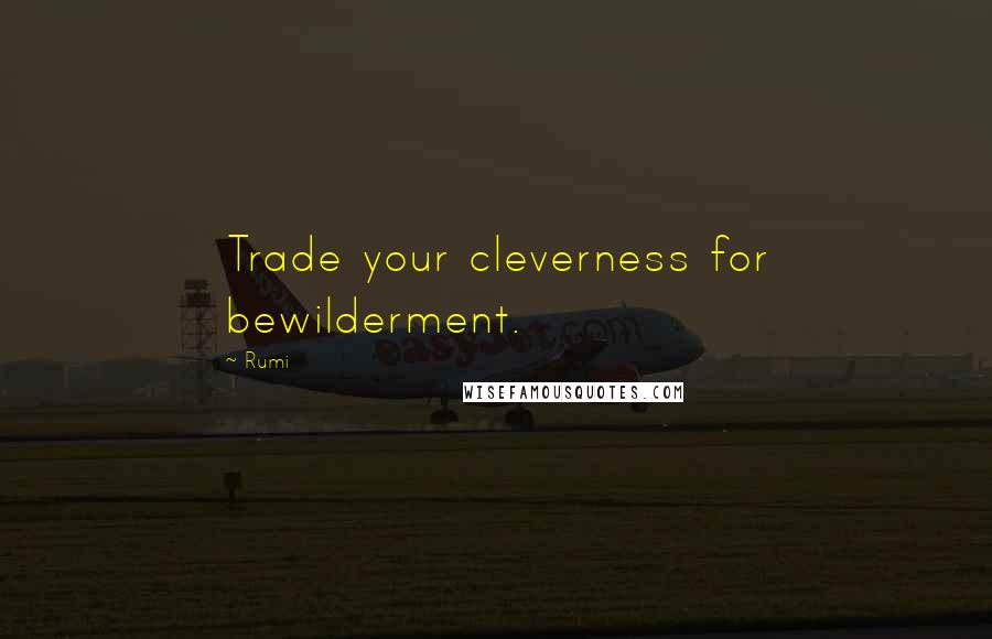 Rumi Quotes: Trade your cleverness for bewilderment.