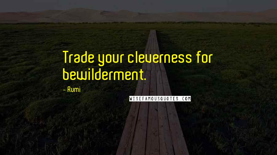 Rumi Quotes: Trade your cleverness for bewilderment.