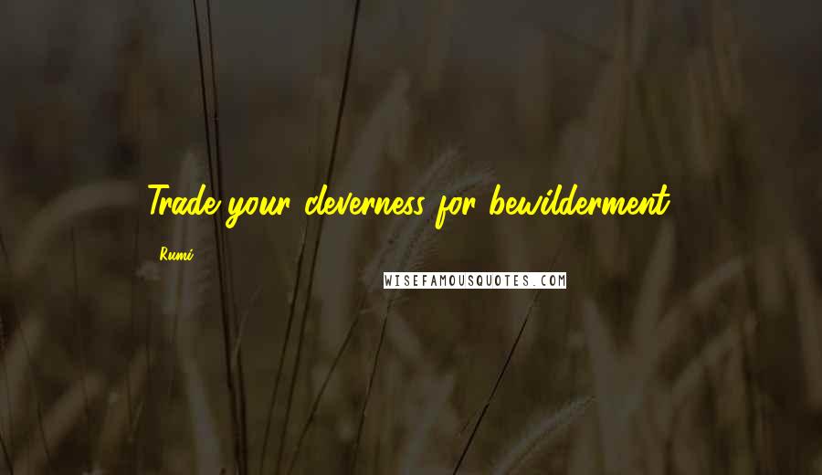 Rumi Quotes: Trade your cleverness for bewilderment.