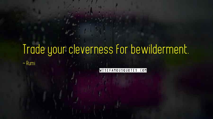 Rumi Quotes: Trade your cleverness for bewilderment.