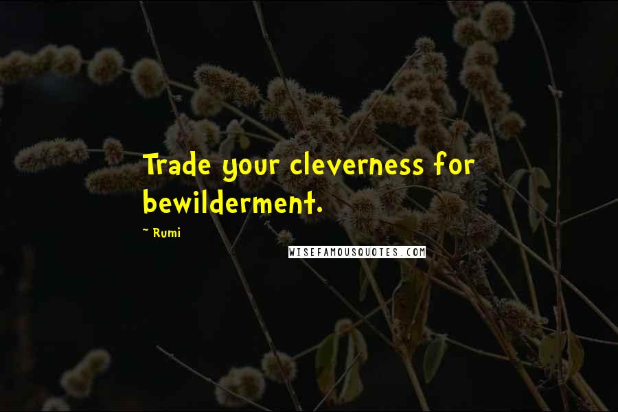 Rumi Quotes: Trade your cleverness for bewilderment.
