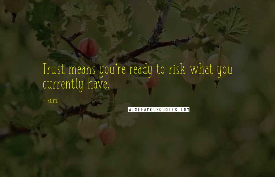 Rumi Quotes: Trust means you're ready to risk what you currently have.