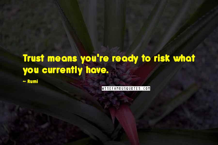 Rumi Quotes: Trust means you're ready to risk what you currently have.