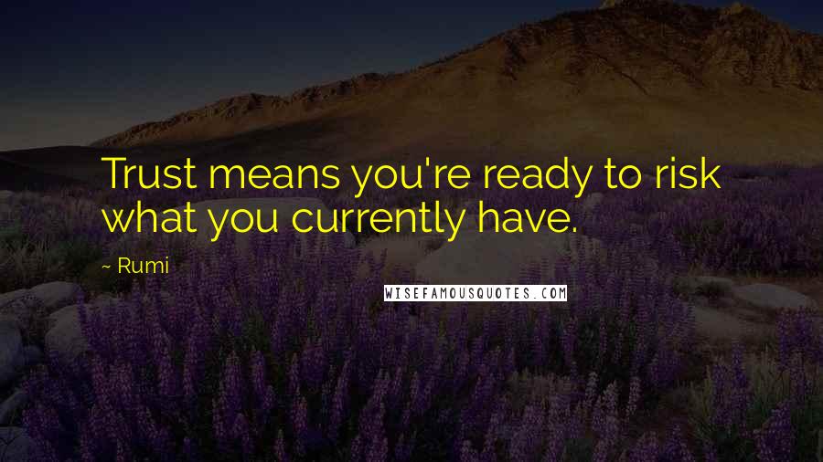 Rumi Quotes: Trust means you're ready to risk what you currently have.