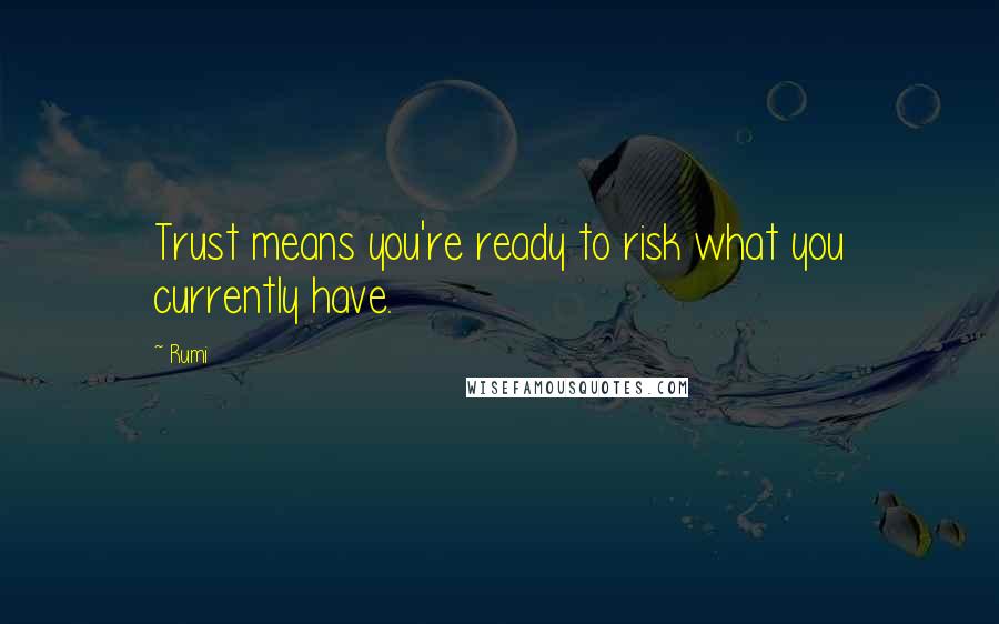 Rumi Quotes: Trust means you're ready to risk what you currently have.