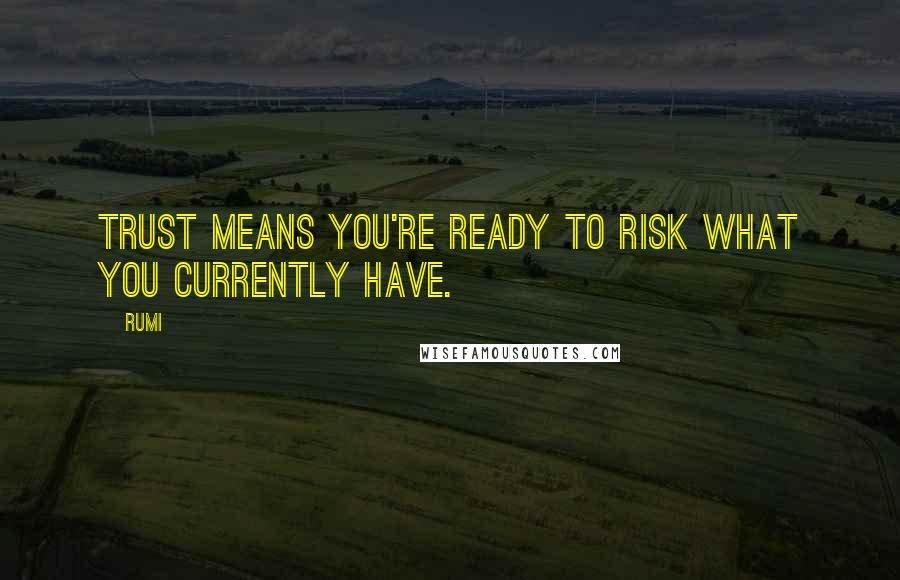 Rumi Quotes: Trust means you're ready to risk what you currently have.