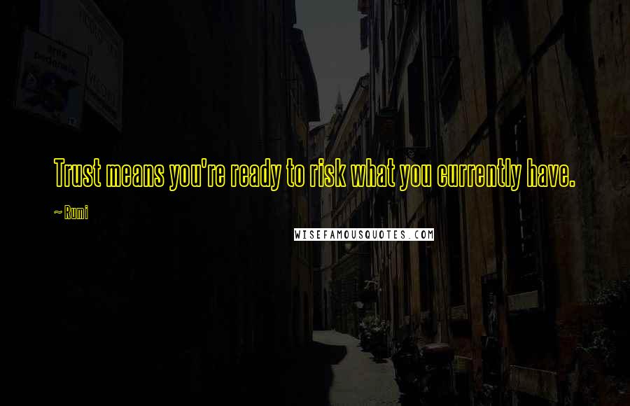 Rumi Quotes: Trust means you're ready to risk what you currently have.