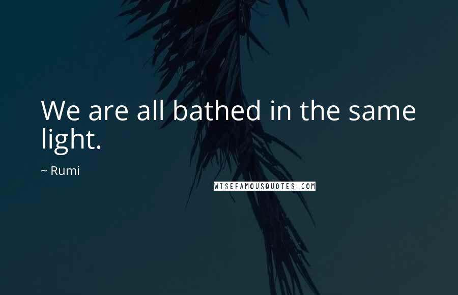 Rumi Quotes: We are all bathed in the same light.