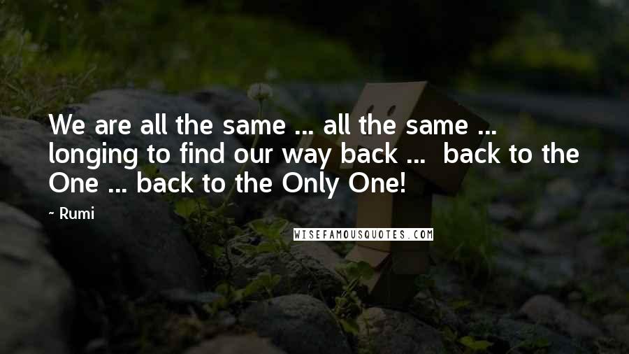 Rumi Quotes: We are all the same ... all the same ...  longing to find our way back ...  back to the One ... back to the Only One!